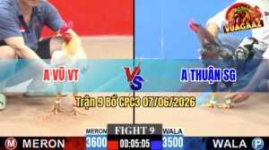 Trận 9 CPC3 07/06/2026 - Gà Bông Anh Thuận Phản Đòn Thắng Ngược