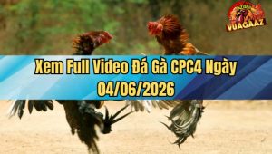 Xem Full Video Đá Gà CPC4 4/6/2026 Tại Vua Gà AZ