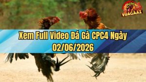 Xem Full Video Đá Gà CPC4 Ngày 02/06/2026