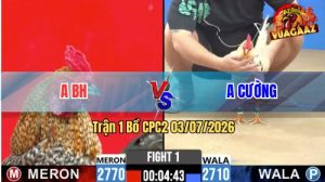 Trận 1 CPC2 03/07/2026 – Anh Cường Có Trận Mở Màn Quá Thuận Lợi