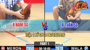 Trận 1 CPC2 06/07/2026 – Anh Nam Gặp Anh Tuấn Ở Trận Mở Màn