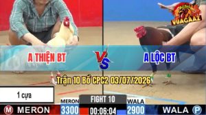 Trận 10 CPC2 03/07/2026 – Gà Que Anh Lộc Có Pha Lật Ngược Thế Cờ