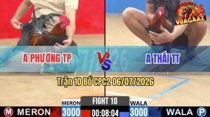 Trận 10 CPC2 06/07/2026 – Gà Anh Thái Khiến Đối Thủ Chạy Bung Bồ