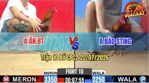 Trận 10 CPC2 22/07/2026 – Anh Ân BT Hạ Anh Bảo Sting Tuyệt Đối
