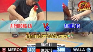 Trận 11 CPC2 02/07/2026 – Gà Điều Anh Hiếu Đá Phản Lại 1 Cây Lụm Tiền