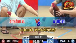 Trận 11 CPC2 03/07/2026 – Gà Bướm Anh Thắng Cứ Nhảy Lên Là Có Cựa