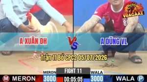Trận 11 CPC2 05/07/2026 – Gà Que Anh Dũng Đá Khôn Như Người Ta