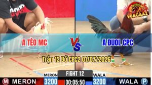 Trận 12 CPC2 01/07/2026 – Gà Úa Anh Tẻo Canh Chặn Khôn Như Người
