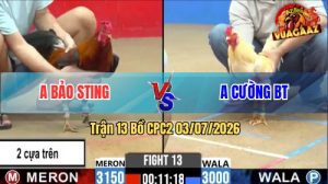 Trận 13 CPC2 03/07/2026 – Anh Bảo Sting Thất Thủ Trước Anh Cường BT