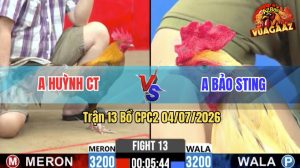 Trận 13 CPC2 04/07/2026 – Gà Bướm Idol Bảo Sting Nhấc Chân Là Có Cựa