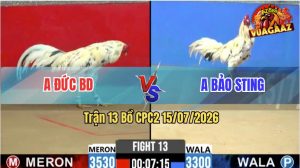 Trận 13 CPC2 15/07/2026 – Anh Bảo Sting Bị Anh Đức Hạ Nhanh Gọn