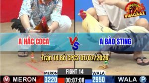 Trận 14 CPC2 01/07/2026 – Gà Bướm Anh Bảo Sting Đá Mấy Chân Lụm Tiền