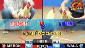 Trận 14 CPC2 03/07/2026 – Anh Cường Siết Một Cơ Hạ Anh Hai HM