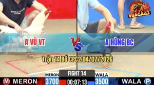 Trận 14 CPC2 04/07/2026 – Gà Cú Anh Hùng Chạy Dạt Xong Trả Cây Hiểm