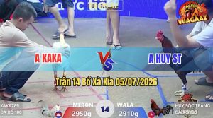 Trận 14 Xà Xía 05/07/2026 – Trận Đấu Có Pha Quăng Gà Gây Tranh Cãi