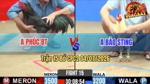 Trận 15 CPC2 04/07/2026 – Gà Que Anh Bảo Sting Gồng Gánh Thắng Ngược