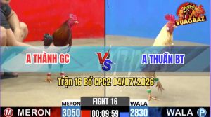Trận 16 CPC2 04/07/2026 – Anh Thành Không Cho Anh Thuần Cơ Hội Nào