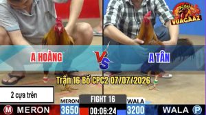 Trận 16 CPC2 07/07/2026 – Gà Khét Anh Hoàng Phản Kèo Ăn 1 Đẳng Cấp