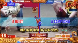 Trận 16 Dinh Bà 12/07/2026 – Chú Hiển Long Xuyên Đá Đâu Thắng Đó