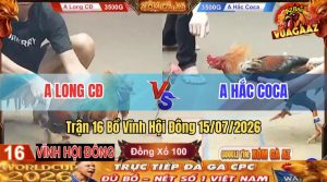 Trận 16 Vĩnh Hội Đông 15/07/2026 – Anh Long Thành Công Hạ Anh Hắc Coca