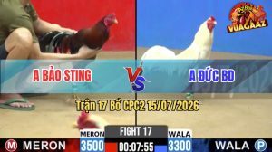 Trận 17 CPC2 15/07/2026 – Idol Bảo Sting Thất Thủ Trước Anh Đức BD
