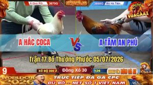 Trận 17 Thường Phước 05/07/2026 – Gà Anh Hắc Coca Đá Trong 3 Nốt Nhạc