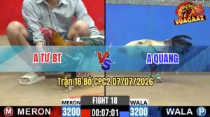 Trận 18 CPC2 07/07/2026 – Gà Anh Quang Đá Cái Bo Như Xe Tải Đụng