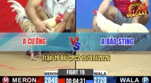 Trận 19 CPC2 15/07/2026 – Anh Cường Hạ Anh Bảo Sting Tron3 Nốt Nhạc