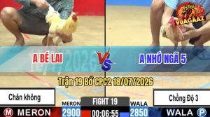 Trận 19 CPC2 18/07/2026 – Anh Nhớ Chồng Độ 3, Anh Bé Lai Đá Chân Không