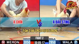Trận 2 CPC2 01/07/2026 – Gà Bướm Idol Bảo Sting Đá Thì Thứ Gì Chịu Nổi