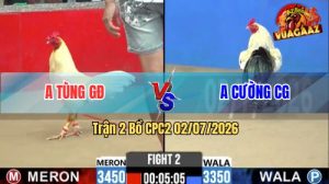 Trận 2 CPC2 02/07/2026 – Anh Cường Chợ Gạo Ra Quân Thuận Lợi