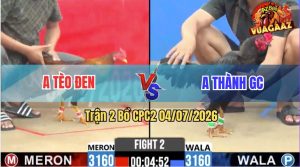 Trận 2 CPC2 04/07/2026 – Gà Que Anh Thành Đâm Cây Hiểm, Đỏ Bay Bồ