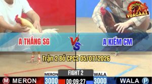 Trận 2 CPC2 05/07/2026 – Gà Cọp Anh Thắng Hạ Gọn Idol Kiểm Cà Mau