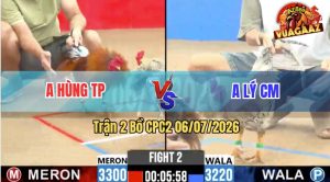 Trận 2 CPC2 06/07/2026 – Gà Bướm Anh Lý Đá Canh Chặn Quá Khéo