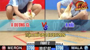 Trận 2 CPC2 07/07/2026 – Gà Úa Anh Hải Đá Cựa Đâm Như Giang Hồ