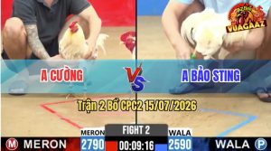 Trận 2 CPC2 15/07/2026 – Idol Bảo Sting Đụng Phải Gà Cọp Của Anh Cường