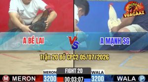 Trận 20 CPC2 05/07/2026 – Anh Mạnh Hạ Anh Bé Lai Trong 3 Nốt Nhạc