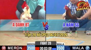 Trận 20 CPC2 06/07/2026 – Gà Bướm Anh Danh Trả Mấy Chân Cựa Hiểm