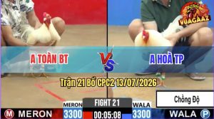 Trận 21 CPC2 13/07/2026 – Gà Úa Anh Toàn Đá Đòn Cựa Quá Hiểm