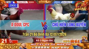 Trận 21 Dinh Bà 12/07/2026 – Gà Úa Chú Hiển LX Đá Siết 1 Hơi Lụm Tiền