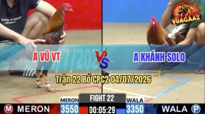 Trận 22 CPC2 04/07/2026 – Gà Điều Anh Vũ VT Đá Chân Nào Cũng Đâm