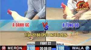 Trận 22 CPC2 06/07/2026 – Gà Anh Tùng GĐ Gồng Tới Phút 90 Lật Kèo