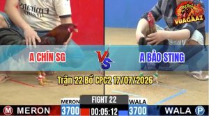 Trận 22 CPC2 17/07/2026 – Idol Bảo Sting Tung Gà Chuối Cọp Ra Sân