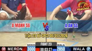 Trận 23 CPC2 05/07/2026 – Gà Que Anh Mạnh Đá Đòn Nhanh Như Điện