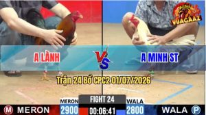 Trận 24 CPC2 01/07/2026 – Gà Bướm Anh Minh Đá Chân Nào Cũng Có Cựa