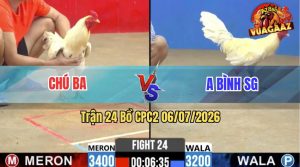 Trận 24 CPC2 06/07/2026 – Gà Bướm Anh Bình Đá 3 Chân Đỏ Lật Xe