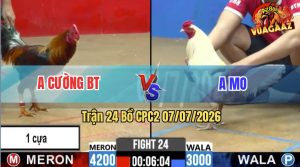 Trận 24 CPC2 07/07/2026 – Anh Cường Làm Thịt Anh Mo Nhanh Gọn