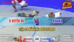 Trận 24 Xà Xía 05/07/2026 – Anh Xuyên Lụm Luôn Gà Chồng Độ Anh Kaka