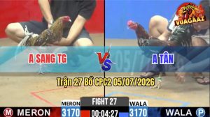 Trận 27 CPC2 05/07/2026 – Gà Cú Anh Sang Đá Anh Tân Không Kịp Thở
