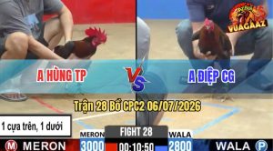 Trận 28 CPC2 06/07/2026 – Anh Hùng Hạ Anh Điệp Quá Nhanh Gọn
